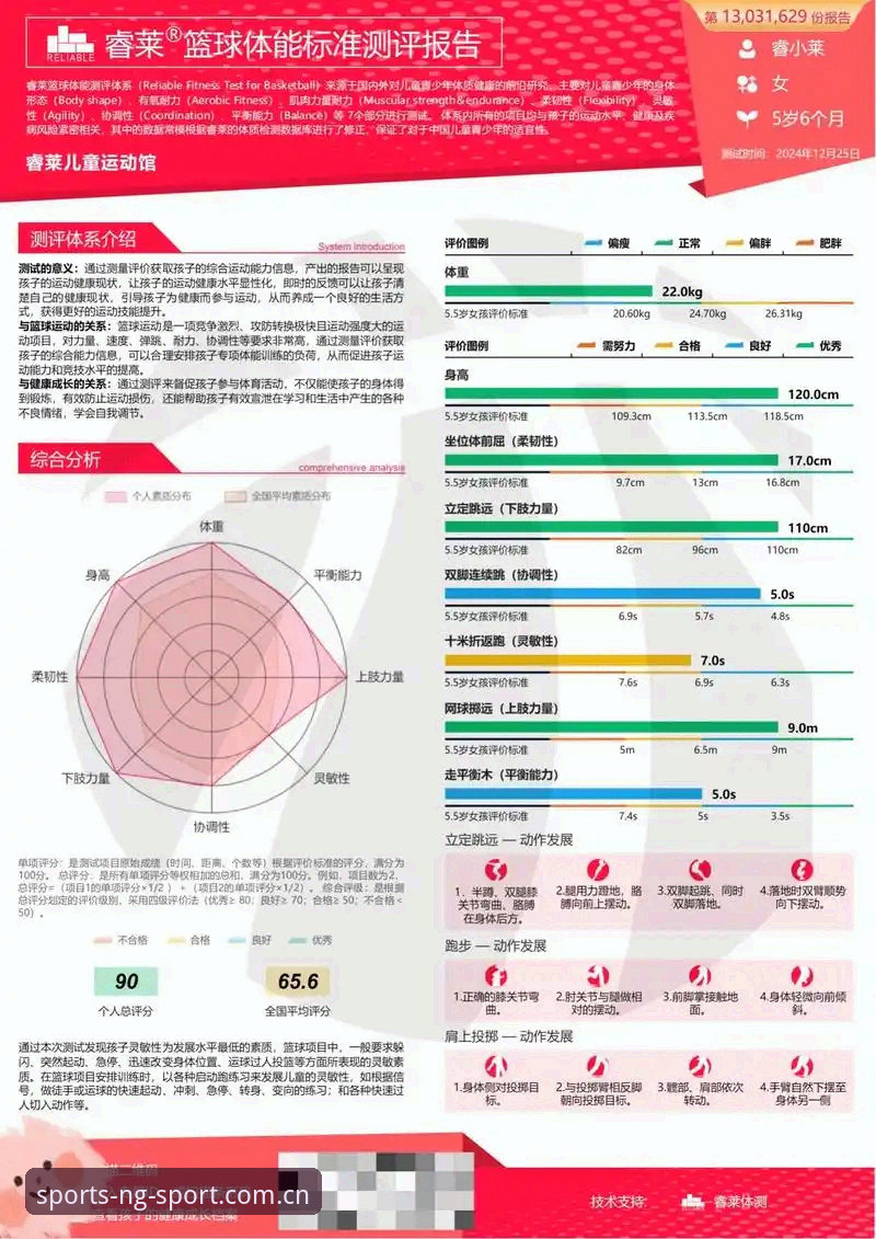 NG体育平台安全性完整评估指南：从技术到体验的全面分析